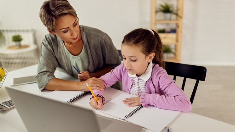 Career guidance for a position Private tutor