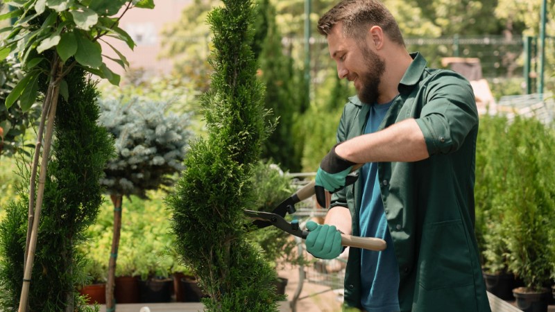 Career guidance for a position Landscape gardener