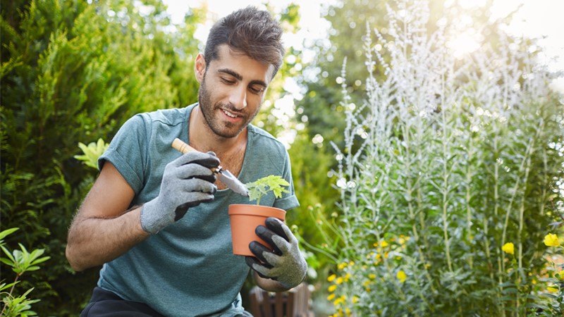 Career guidance for a position Naturopath