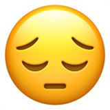 משוב על הכוון תעסוקתי