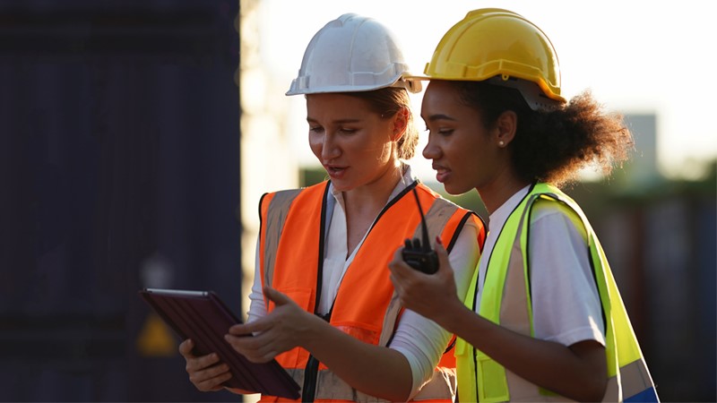 Exams for Director of the Traffic and Road Planning Department